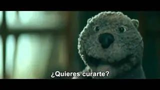 La Doble Vida de Walter (The Beaver)