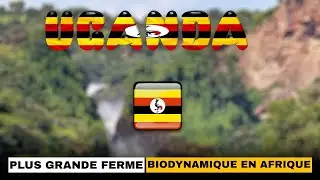 Ouganda: Découvrez l’une des plus grandes fermes biodynamiques d’Afrique.