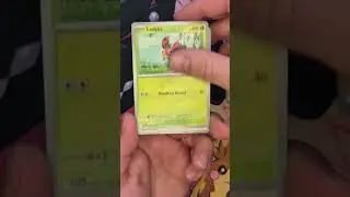 Tuesday chill opening 😎 #stellarcrown #pokemontcg
