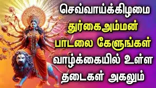 TUESDAY GODDESS DURGA AMMAN SONGS | Lord Durga Devi Devotional Songs | Durgai Amman Tamil Songs