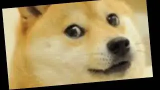 |||||||||||||||||||||||||||||||||||