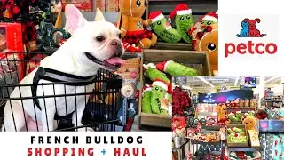 French Bulldog Goes Holiday Shopping at Petco  |  Frenchie Trekker  TV