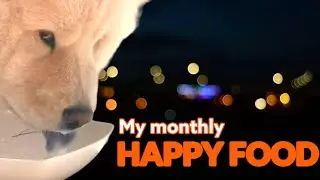 Our Dog's Favorite Happy Food - Will you give in and feed your dog this food too?
