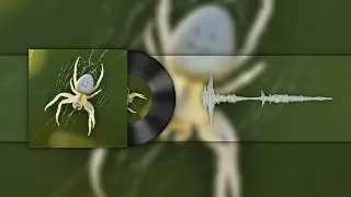sean tee - Stop(Official Visualizer)