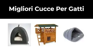 8 Migliori Cucce Per Gatti nel 2021