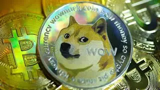 24-7 Doge Coin Price Live Stream