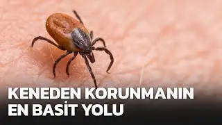 Keneden korunmanın en basit yolu