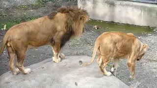 お願いがあります