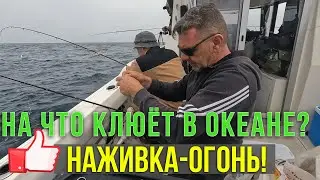 Наживка - огонь! На что клюет в Атлантическом океане?