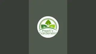Preeti's Gardeneria l Luxury in Every Plant Gift