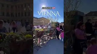 Sch&ouml;nbrunn Palace 🇦🇹 Vienna 🇦🇹 #travel #austriancity #austria #europeancapital #ingenioustamilan