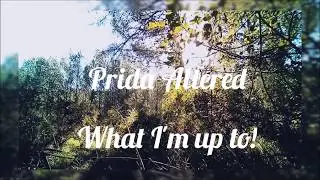 Episode 1; Prida Altered Explained