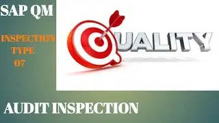 SAP QM Audit Inspection, INSPECTION TYPE 07