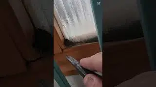 How amazing does it sound?  #satisfying #asmrsounds #inspection