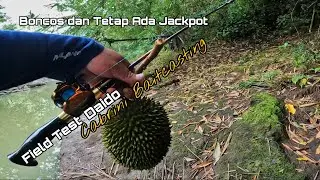 FIELD TEST NEW STREAM ROD DAIDO CABRINI BC | BONCOS WITH BENEFIT ‼️