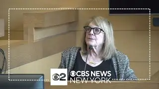 Memory expert Dr. Elizabeth Loftus called to testify in Michelle Troconis trial