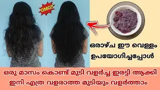 💯🔥 7 ദിവസം ഈ വെള്ളം ഉപയോഗിക്കൂ എത്ര വളരാത്ത മുടിയും പനങ്കുല പോലെ വളരും  😱🔥 Hair Growth Malayalam ✅💯