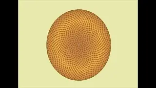 Sunflower Spiral 2d