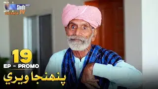 Pahinja Weri Episode 19 Promo | Soap Serial | SindhTVHD Drama