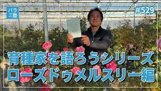 #529 育種家を語ろうシリーズ  ローズドゥメルスリー編