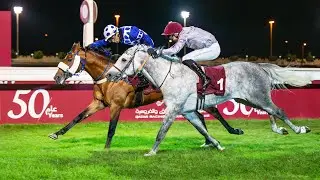 RM 40  Al Uqda Race 9 -   Al Arish Cup