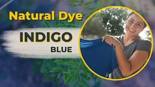 Dyeing with Indigo: Traditional Dyeing Process with Natural Plant Dye