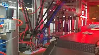 Spider picker （ABB flexpicker ）case packer for bags (belt picking)  with vision system