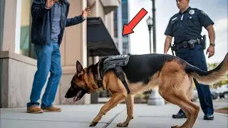 A K9&rsquo;s Genius Moment That Outsmarted Criminals &ndash; The Incredible Ending!