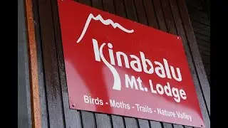 K2H3-Kinabalu Mt. Lodge 20190811 Run (Uncut) - Part 1/7