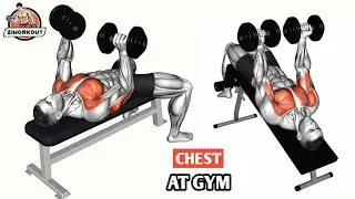 Best Chest Exercises at Gym | Chest Pump & Definition