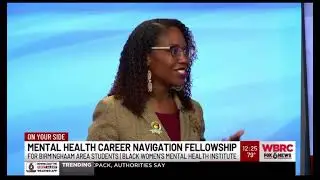 Mental Health Career Navigation Fellowship
