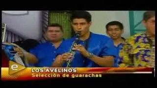 SELECCION DE GUARACHAS