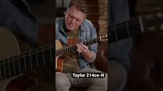 Taylor 214ce-N