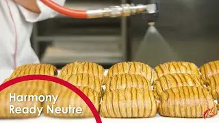 HARMONY READY NEUTRE | Cómo aplicar ✅