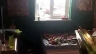 New cod trailer