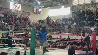 La Dinast&iacute;a Zarzy Swetty Lady Zarzy Zarzy Tiger 🆚Frutero Del Mercado 3 Frutero Del Mercado 2 Gacela 