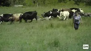 Quesería Los Tiemblos, Premio al mejor Producto Ecológico