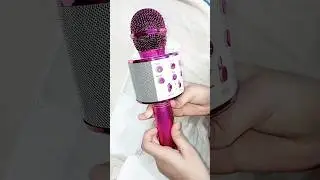 Karaoke Wireless Microphone 🎤🎙️ Hifi Speaker WS 858