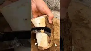 person carefully peels the outer skin of a cassava root with a sharp blade