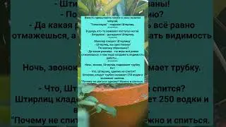 ПОДБОРКА АНЕКДОТОВ ПРО ШТИРЛИЦА  #анекдоты #Юмор #История #Жизнь #Анекдот #Прикол #США