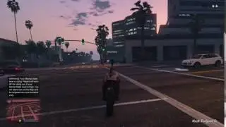 Grand Theft Auto V - MisterTickler the ninja
