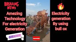 Amezing Technology for electricity generation by using Bull ox#technology #tesla#faradey#energy