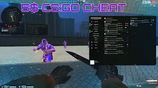 CS:GO 5$ CHEAT REVIEW | INTERIUM // BEST UNDETECTED MOVEMENT CHEAT 2020?