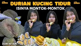 DURIAN HITAM KUCING TIDUR  