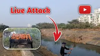 New Live Attack Snakehead Fishing and Cooking Video 😊🤩