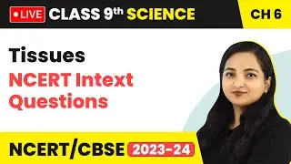 Tissues - NCERT Intext Questions | Class 9 Science Chapter 6 (LIVE)