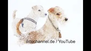 YouTube by ilicochannel - Ihre Aufnahmen als 