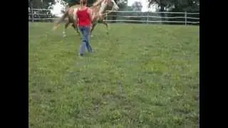 Me & my horse Vegas doing some ground work....I think he is stunning!!