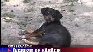 Povestea romanului care a calatorit pe trenul de aterizare al avionului 20 IUNIE 201