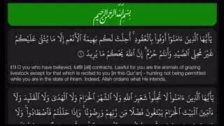 Surah Al Maidah from start to ayat 39 by Umair Shamim (عمیر شمیم) very beautiful voice